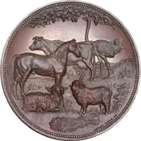 Award Western Province Agricultural Society, bronze, 48mm