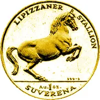 1 Suverena Lipizzaner Stallion