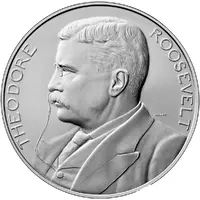 Medal - Peace and Friendship Theodore Roosevelt Presidential