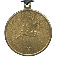 Medal - Defender of the Motherland