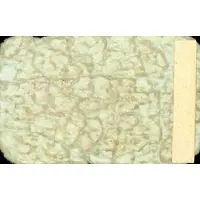 1 Peseta Casasbuenas