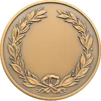 Medal Sea Venture, Tall ships race