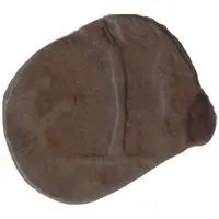 Paisa - Bhupal Singh