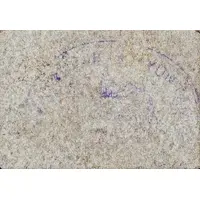 10 Céntimos Hinojosa del Duque