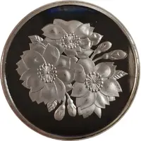 Token Flowers and young woman