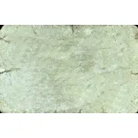 50 Céntimos Pedroche