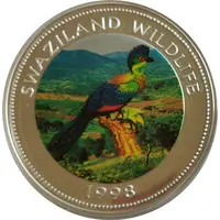 250 Emalangeni Ligwalagwala Bird