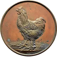 Award medal - Association of Bird Lovers in Württemberg