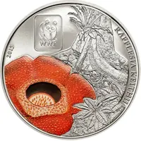 100 Francs CFA Rafflesia