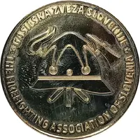 Firefighting Association of Slovenia 17th Firefighting Olympics, Probe