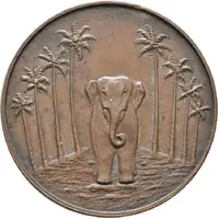 Award - George V Vidanage Medal