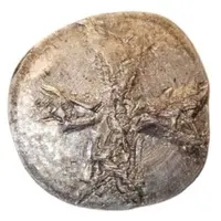 Token - 1 Aloysian Troy
