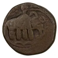 Falus - Anonymous Rasht