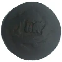 1/2 Bisti Anonymous Lion attacking prey