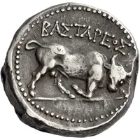Tetradrachm - Bastareos