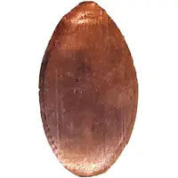 Elongated coin Punakaiki