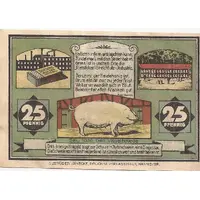 25 Pfennig