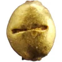 1⁄128 Baht - Pseudo-Anonymous Issue