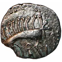 Silver Unit 'Icenian D' - Cani Duro