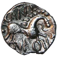 Silver Unit 'Icenian D' - Cani Duro