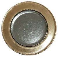 1 Real Flat Disc 2nd. Family