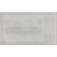 20 Pound (Town & County Banking Company