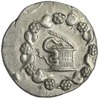 Tetradrachm Cistophoric Type