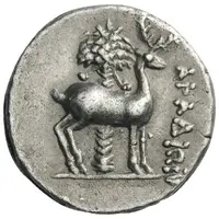 Drachm