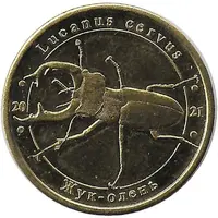 1 Zlotnik European Stag Beetle