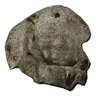 1 Pfennig - Frederick III - V Wein - Hausgenossen