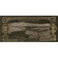 30 Dollars Endangered coastal bird