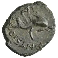 Æ20 C IVLIO DIONYSIO IIVIRIS EX D D