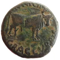 As - Tiberius MVNICIP GRACCVRRIS