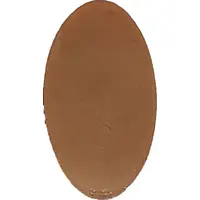 Universal Islands of Adventure - Jurassic Park Spinosaurus