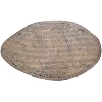 Pittsburgh Zoo Polar Bear