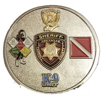 Challenge Coin - Carroll County Sheriff's Office Arkansas