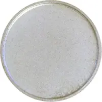 Medal - National Dahlia Society Silver