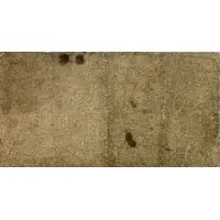 5 Pesos La Provincia de Buenos Ayres