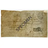 5 Pounds White, 1793 issue