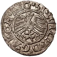 1 Schilling - Heinrich von Galen and Wilhelm von Brandenburg Riga, flat top