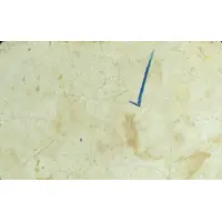 10 Céntimos Villanueva