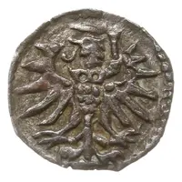 Denier elbląski - Sigismund II Augustus Elbląg mint