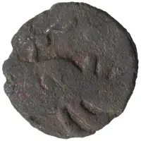 Puli anonymous Rhinoceros