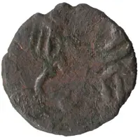 Puli anonymous Rhinoceros