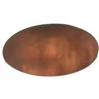 Elongated Coin - Disney 100th Anniversary Hong Kong Disneyland