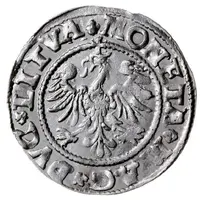 1/2 Groat półgrosz) - Sigismund II August (1st eagle, titles on knight side