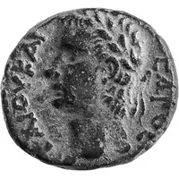 Æ - Caligula Nysa-Scythopolis