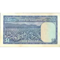 1 Dollar