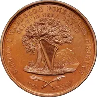 Award - Victoria Rhuddlan Eisteddfod, bronze