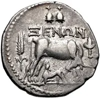 Drachm Xenon